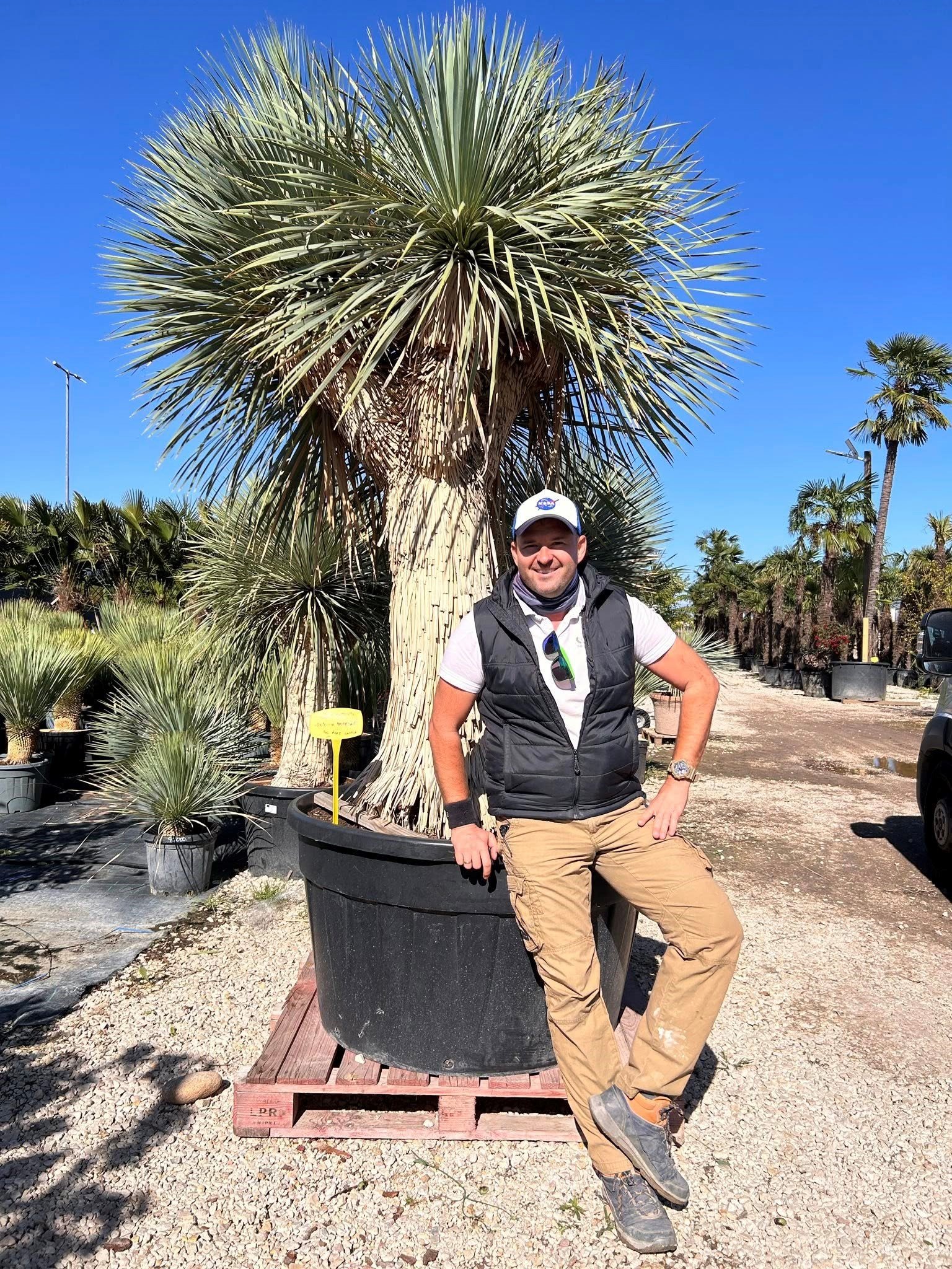 Nagy tételben keresel növényeket? Segítünk beszerezni a legjobb forrásból!